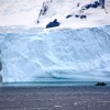 Cuverville island