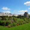 jardin des Tuileries