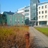 Reykjavik